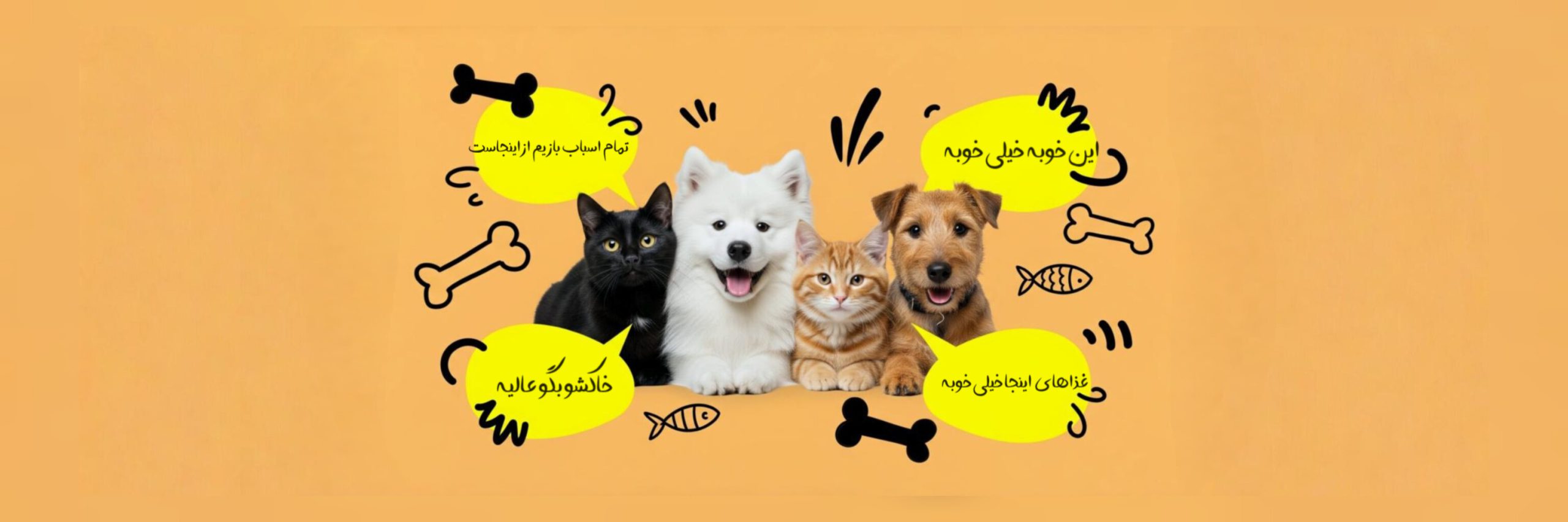 InShot_20250524_173206215-scaled